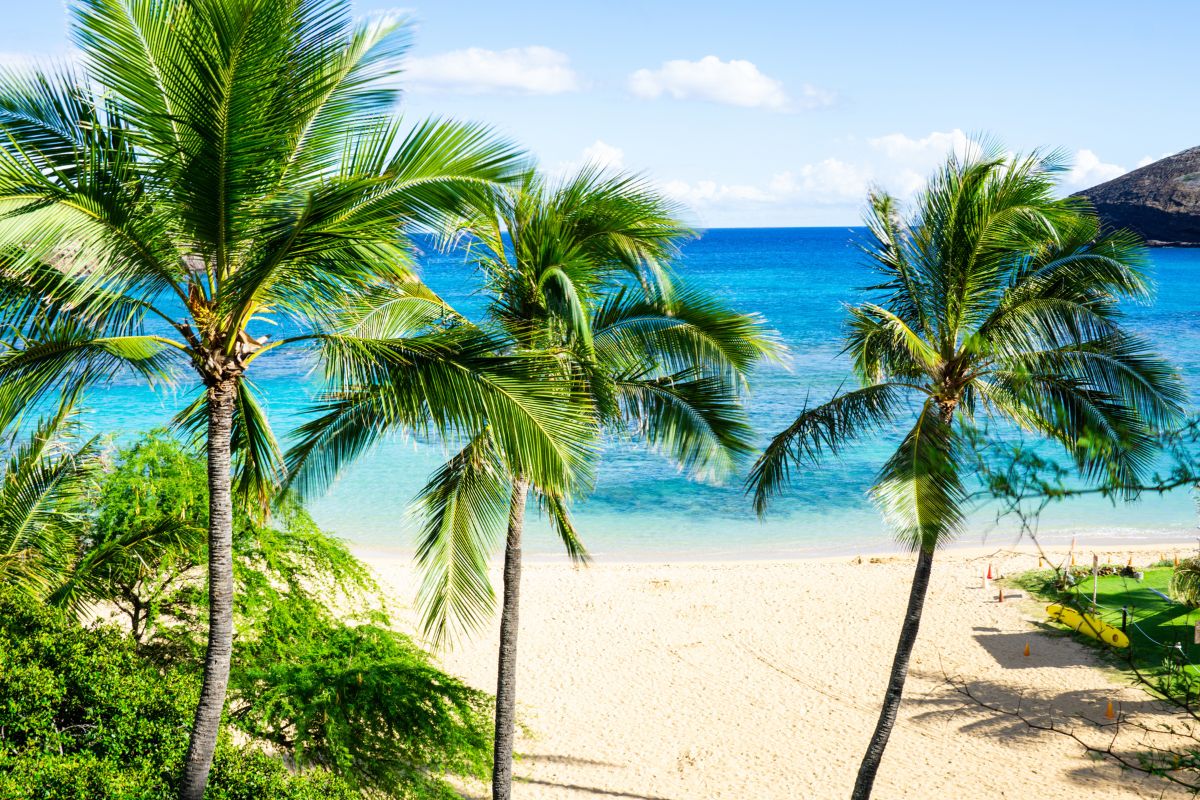 Best things to do in Oahu snorkel at Hanauma Bay