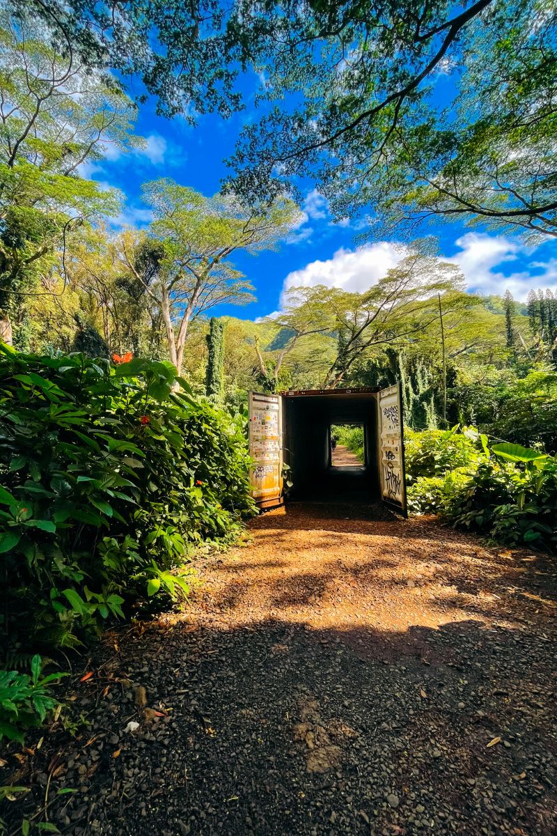 Best things to do in Oahu Hike Moana Falls