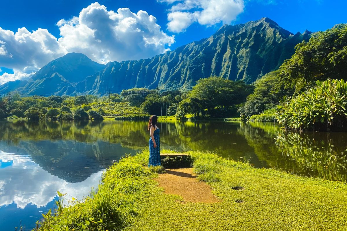 Best things to do in Oahu, Ho