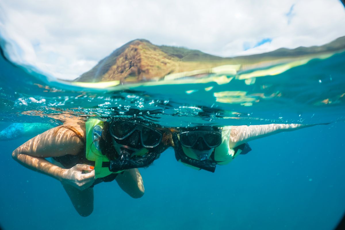 Best things to do in Oahu swim with dolphins