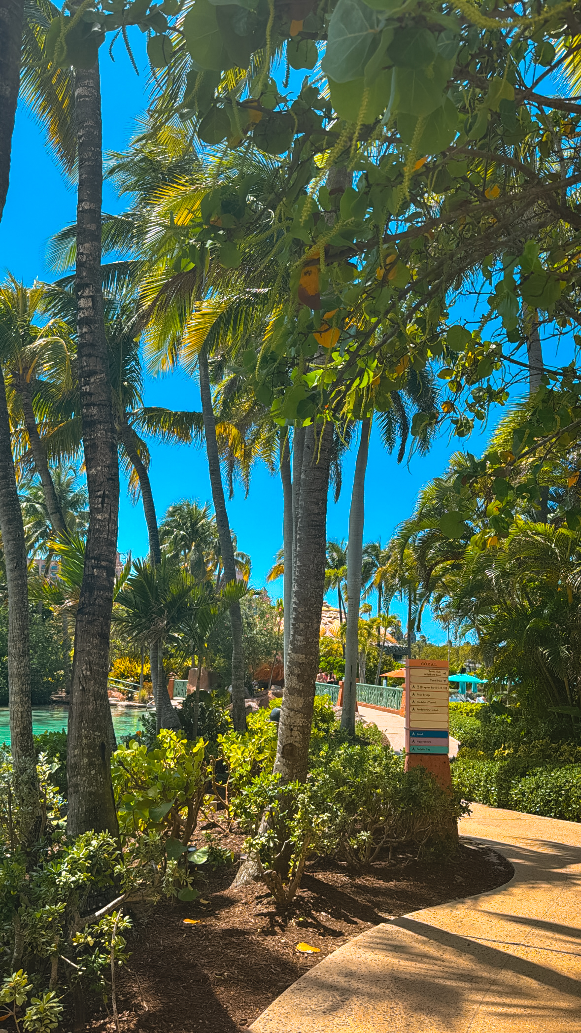 Atlantis Resort Bahamas
