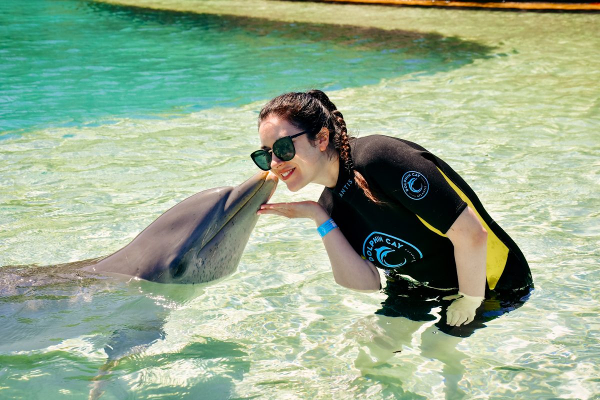 Dolphin Cay at Atlantis Resort Bahamas
