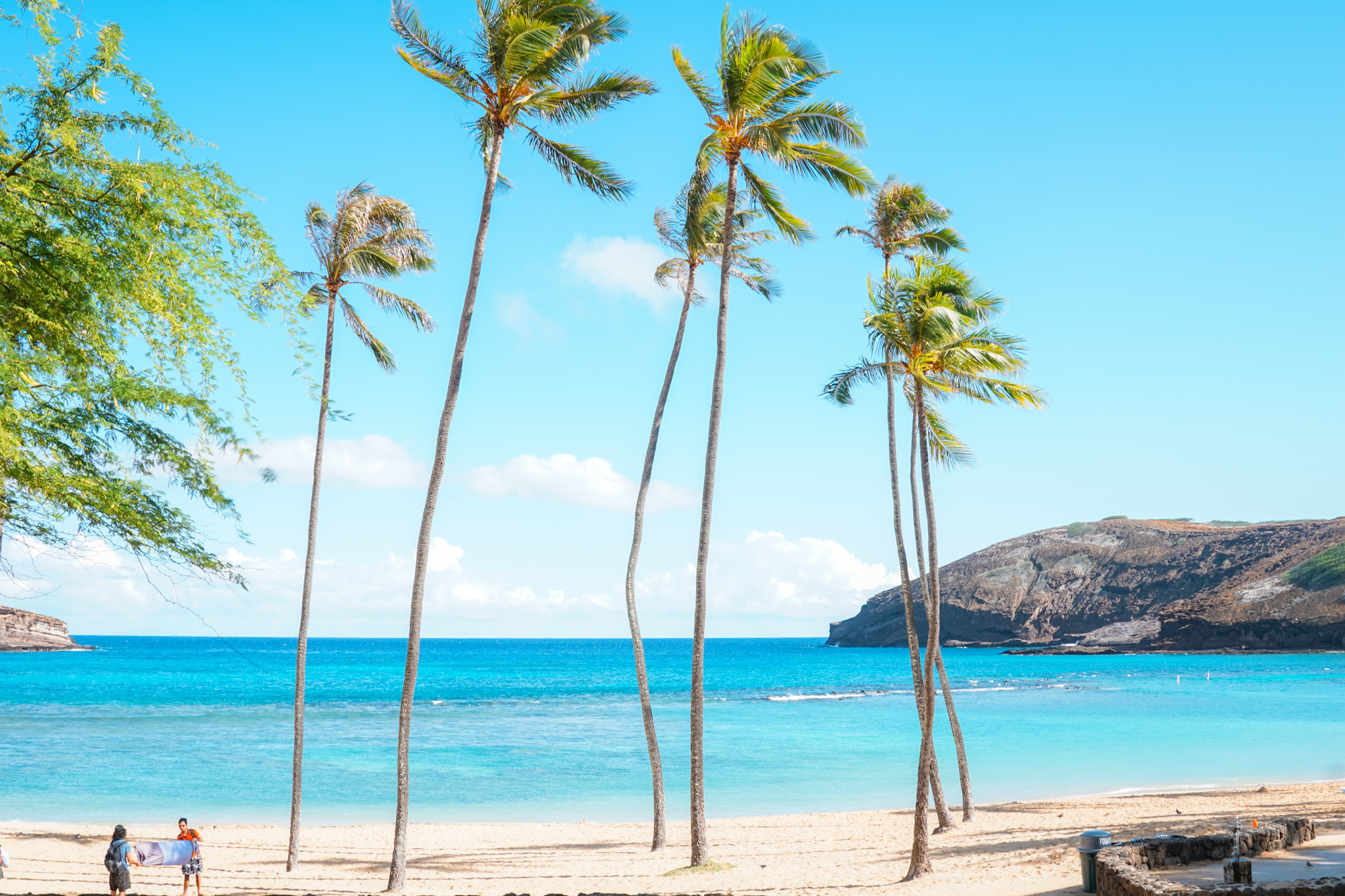 Hanauma Bay State Park: one of Oahu's best beaches