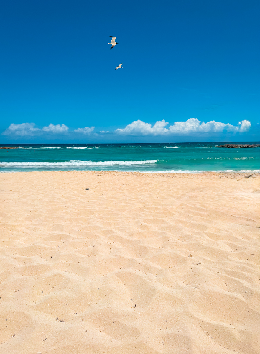 Atlantis Resort Beach